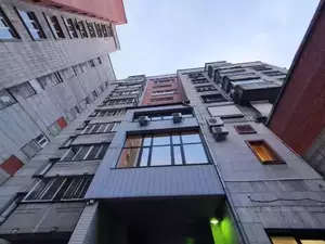 Фото к объявлению #20795242