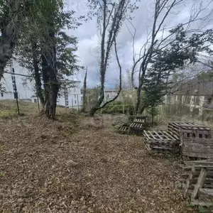 Фото к объявлению #22176919