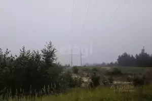 Фото к объявлению #22116113