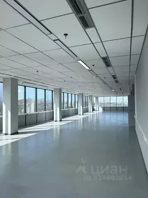 Фото к объявлению #22176517