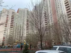 Фото к объявлению #21158017