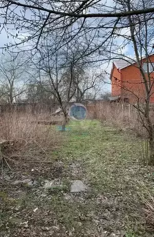 Фото к объявлению #20013807