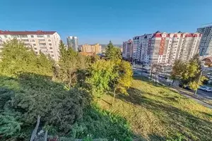 Фото к объявлению #22187016