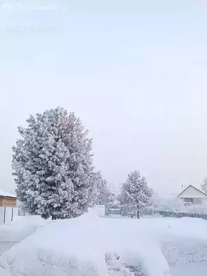 Фото к объявлению #22284331