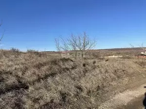 Фото к объявлению #22185244