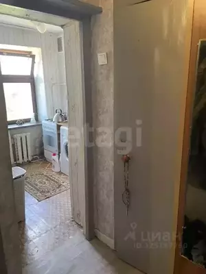 Фото к объявлению #22246079