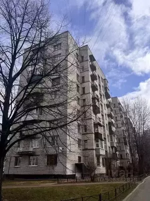 Фото к объявлению #22015274