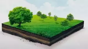 Фото к объявлению #22223326