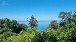 Фото к объявлению #21034029