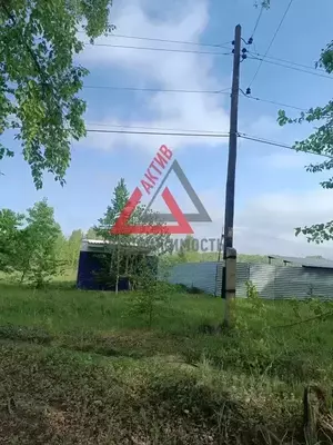 Фото к объявлению #20180948