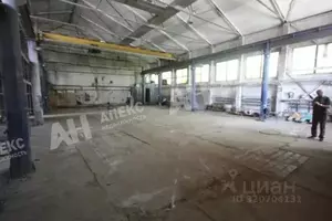 Фото к объявлению #22135410