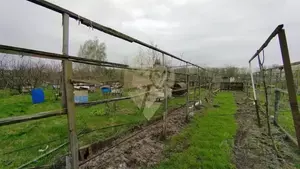 Фото к объявлению #22150688