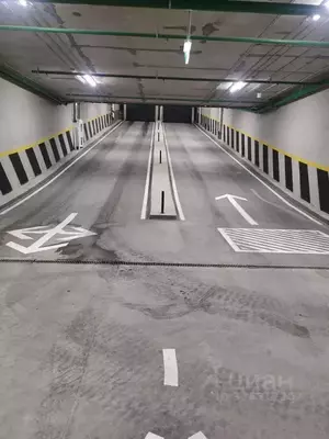 Фото к объявлению #22285205