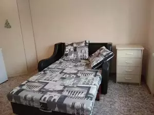 Фото к объявлению #20921290