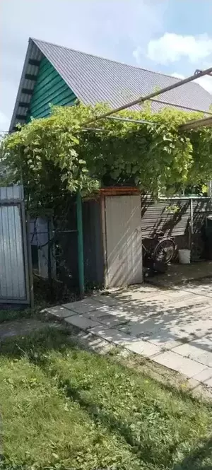 Фото к объявлению #21697569