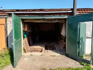 Фото к объявлению #22219395