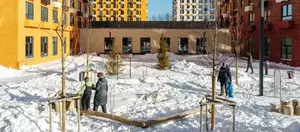 Фото к объявлению #22222382