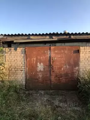 Фото к объявлению #22132225