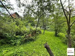 Фото к объявлению #21951057