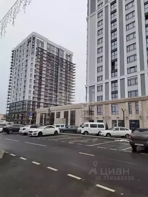 Фото к объявлению #22125204