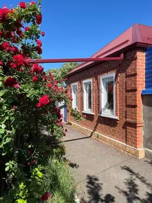 Фото к объявлению #22143908