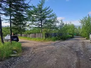 Фото к объявлению #22190969