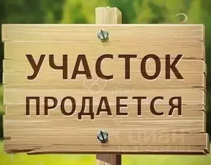 Фото к объявлению #22264305