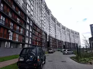 Фото к объявлению #20551098