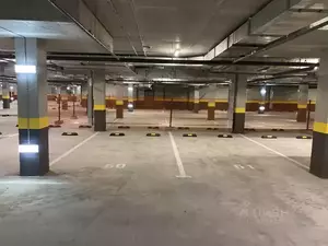 Фото к объявлению #22204674