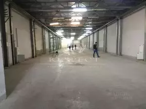 Фото к объявлению #20452258