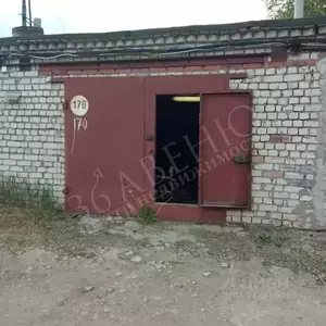 Фото к объявлению #22251470