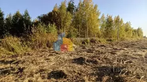 Фото к объявлению #22259741