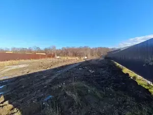 Фото к объявлению #22248720