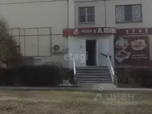 Фото к объявлению #20109597