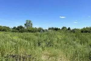 Фото к объявлению #22273120