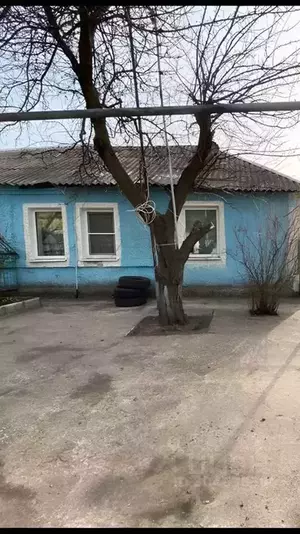 Фото к объявлению #20483901