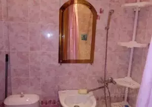 Фото к объявлению #21064466