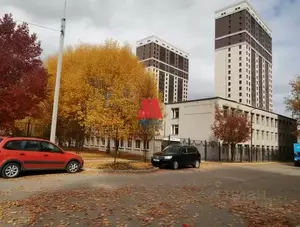 Фото к объявлению #22196163