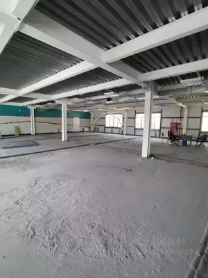 Фото к объявлению #22207926