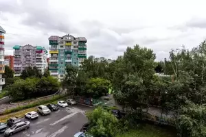 Фото к объявлению #20817243