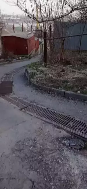 Фото к объявлению #22274822