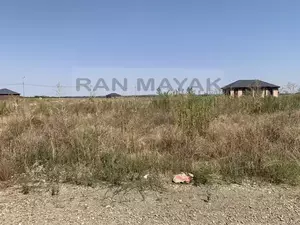 Фото к объявлению #22237774