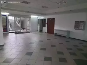 Фото к объявлению #22266953