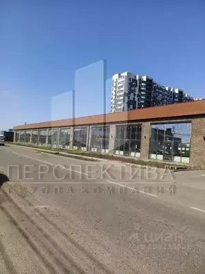 Фото к объявлению #21277351