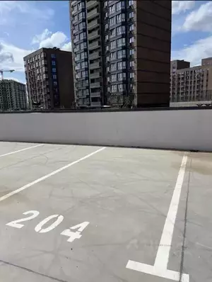 Фото к объявлению #22154001