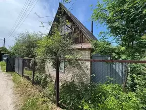 Фото к объявлению #22265611