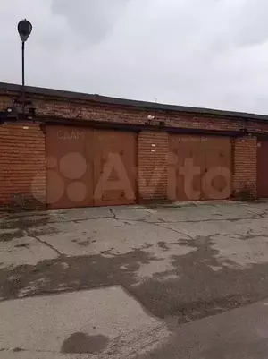 Фото к объявлению #20924752