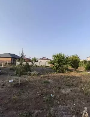 Фото к объявлению #22183000