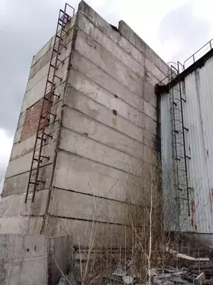 Фото к объявлению #22260979