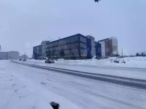Фото к объявлению #21948237
